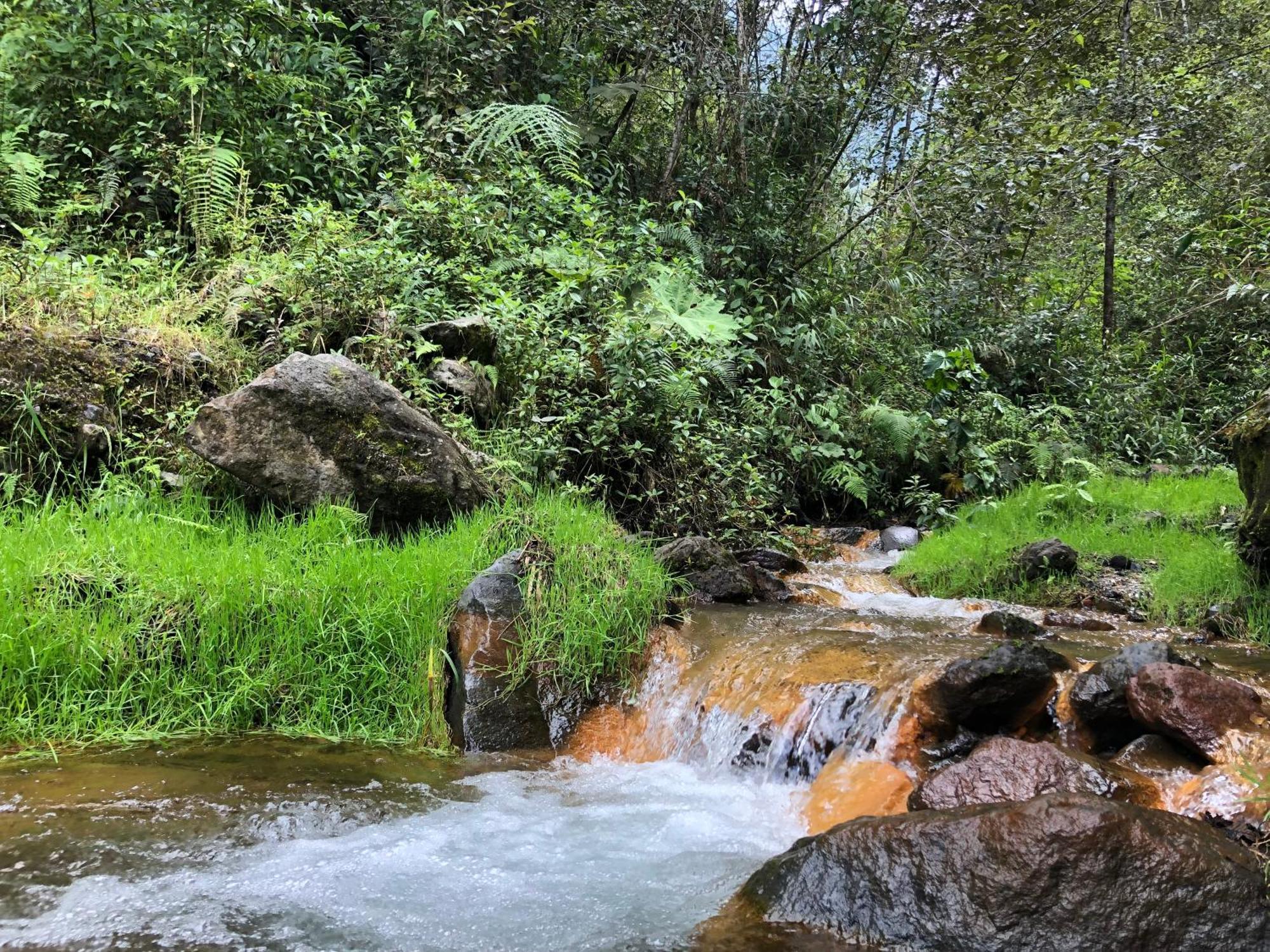 Mountain Chalet - Tungurahua Hot Springs/Aguas Termales Banos  Ngoại thất bức ảnh